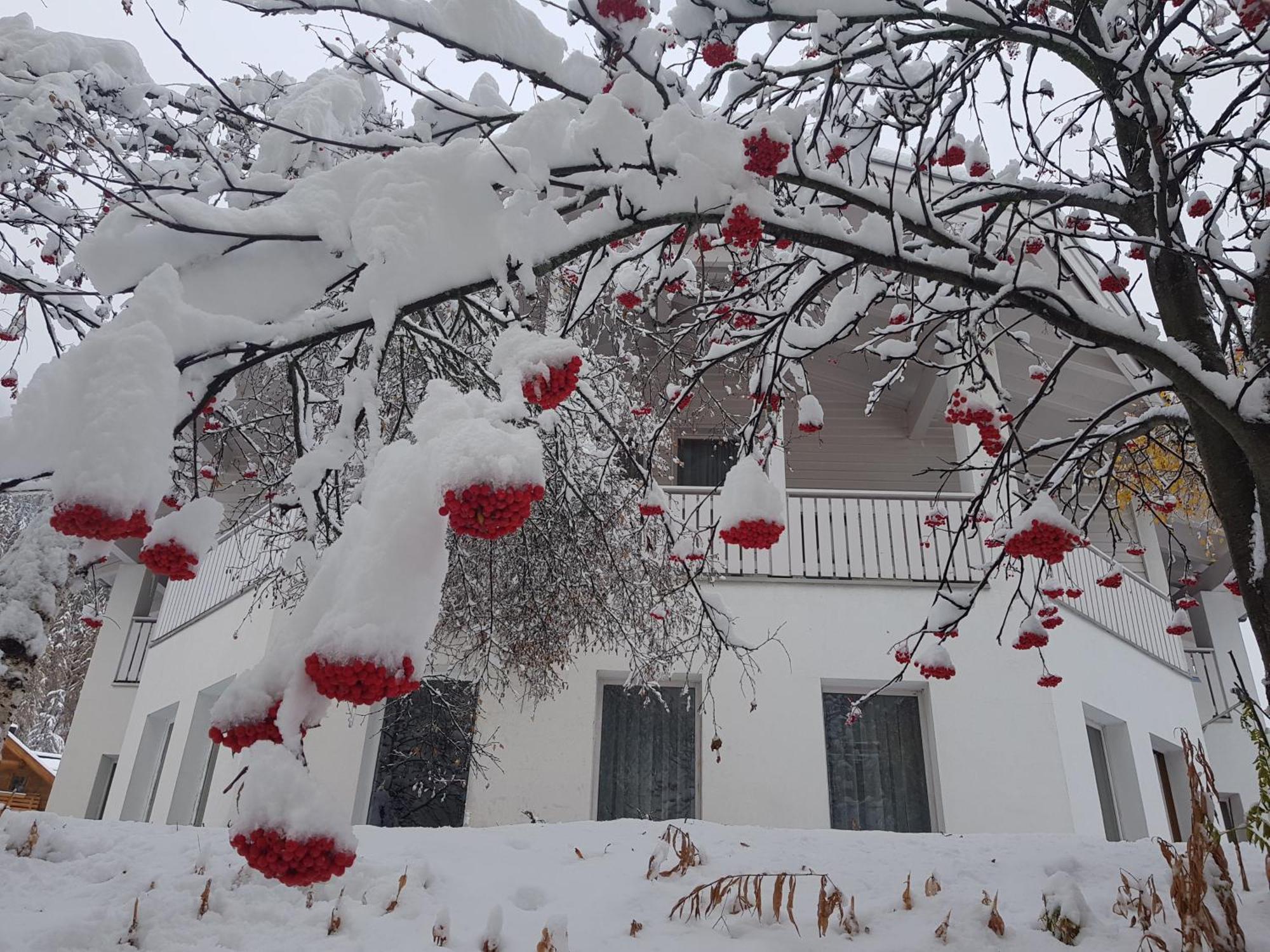 Apartment Foresta Samnaun