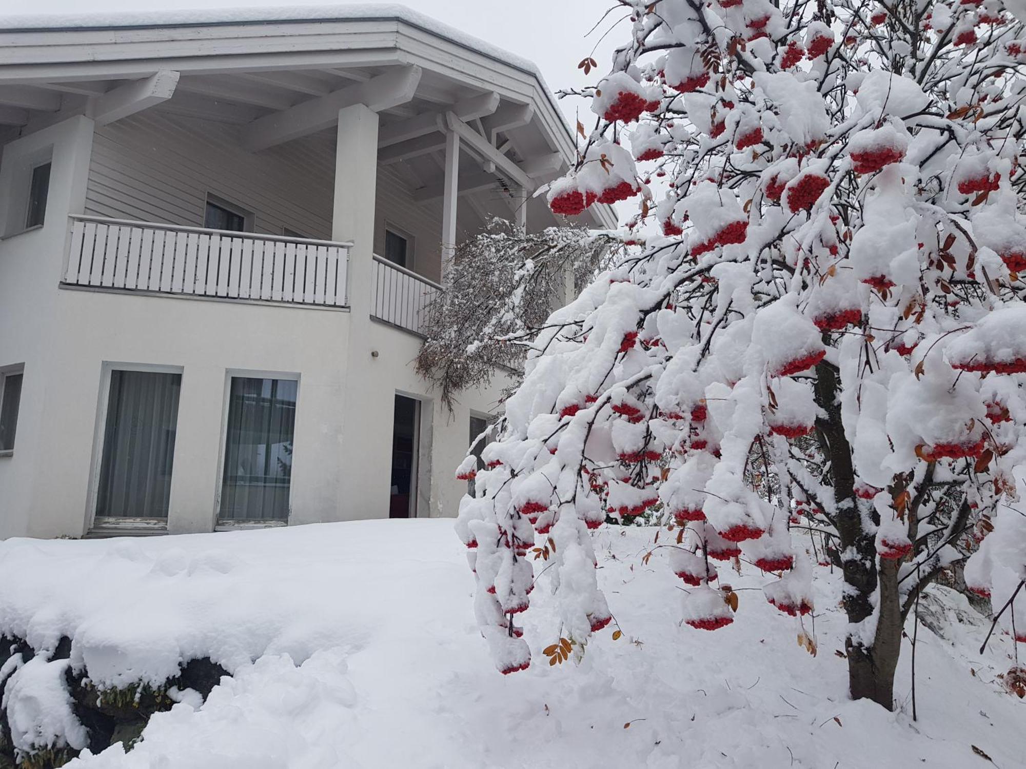 Apartment Foresta Samnaun